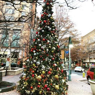 Photo of Signature Theatre - Arlington, VA, US. Christmas Tree