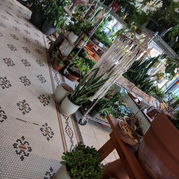 Solabee Flowers & Botanicals - Florists Near Me - Portland, Oregon
