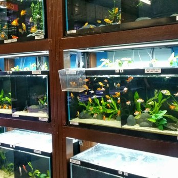 360 Aquatic - Local Fish Stores Near Me - Houston, Texas