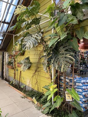 Portland Nursery by null