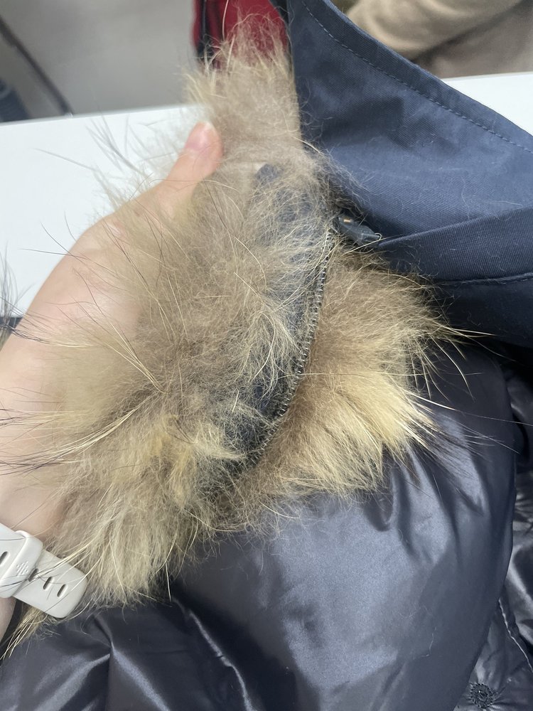 GROVE POINTE CLEANERS Updated July 2024 24 Reviews 315 Marin Blvd