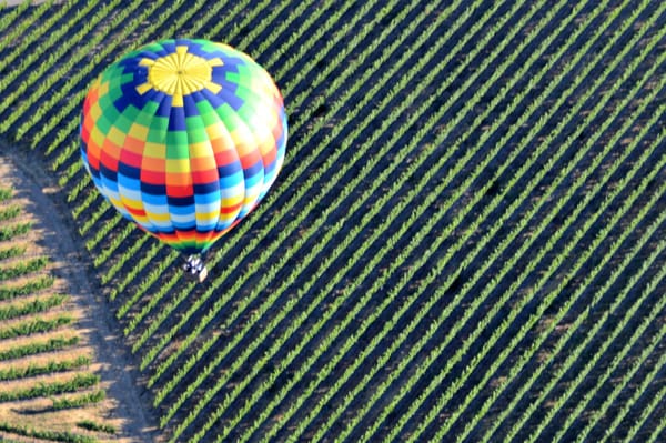 Napa Valley Aloft Hot Air Balloon Rides by null