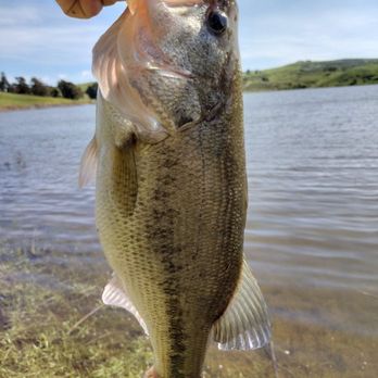 Clearlake live bait & tackle - Hunting & Fishing Supplies Near Me - Seabrook, Texas
