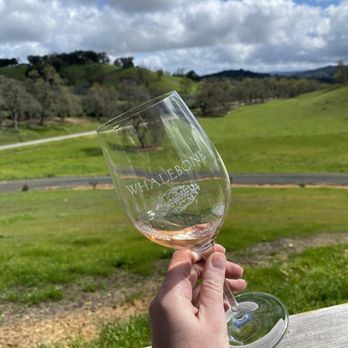 Whalebone Vineyard - Rose on patio - Wineries Near Me - Paso Robles, California