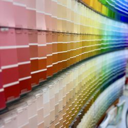 Dunn-Edwards Paints - So many colors to choose from