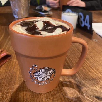 Crazy Daisies - Hot cocoa - Nurseries & Gardening Near Me - Syracuse, New York