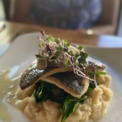 Harvest Wine Bar - Seared Branzino