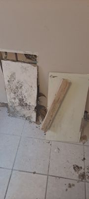 Mold Remediation - Abstract Remediation, LLC is a Philadelphia, PA based family-owned small business that provides a variety of services. When you need help making your home safe from mold, water damage, or other negative events that can happen to a home, we are here to help. We provide services for mold remediation, interior painting, water damage, water removal, general contracting, mold removal, and much more. Mold causes a wide variety of health issues, and may be hiding inside of walls, on cloth, or even within mattresses. It's important to have your home inspected for dangerous mold and have it removed as quickly as possible. Call us today! Mold Remediation - Abstract Remediation, LLC is a Philadelphia, PA based family-owned small business that provides a variety of services. When you need help making your home safe from mold, water damage, or other negative events that can happen to a home, we are here to help. We provide services for mold remediation, interior painting, water damage, water removal, general contracting, mold removal, and much more. Mold causes a wide variety of health issues, and may be hiding inside of walls, on cloth, or even within mattresses. It's important to have your home inspected for dangerous mold and have it removed as quickly as possible. Call us today!