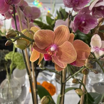 Fleur't - Florists Near Me - San Francisco, California