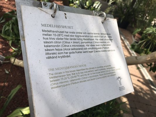 Botaniska trädgården by null