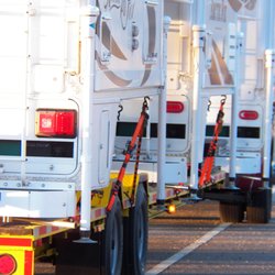A & M Services - Truck and trailer load of Artic Foxes.