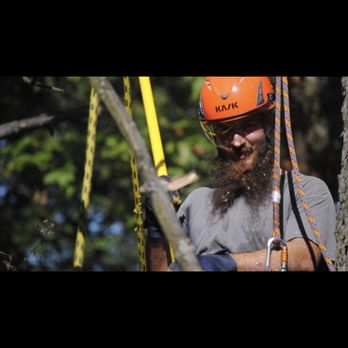 B3 Tree Removal - Robert Macartie owner of B3 Tree Removal - Tree Services Near Me B3 Tree Removal - Robert Macartie owner of B3 Tree Removal - Tree Services Near Me