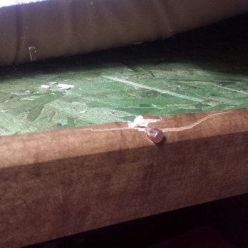 Walnut RV Park - Stray bullet that struck my rv - RV Parks Near Me - Northridge, California Walnut RV Park - Stray bullet that struck my rv - RV Parks Near Me - Northridge, California