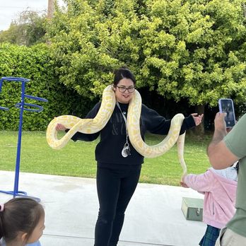 Paramount Reptiles - 4/23/24 The creatures looked so healthy and very well taken care of. - Reptile Shops Near Me - Paramount, California