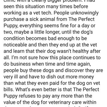 The Perfect Puppy - Pet Stores Near Me - Scituate, Rhode Island The Perfect Puppy - Pet Stores Near Me - Scituate, Rhode Island