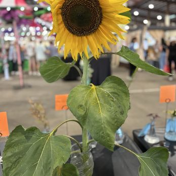San Diego County Fair - Festivals Near Me - Del Mar, California
