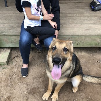 Voraussehen Kennels - Pet Training Near Me - Conroe, Texas Voraussehen Kennels - Pet Training Near Me - Conroe, Texas