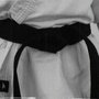 The American Karate Academy