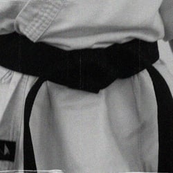 The American Karate Academy