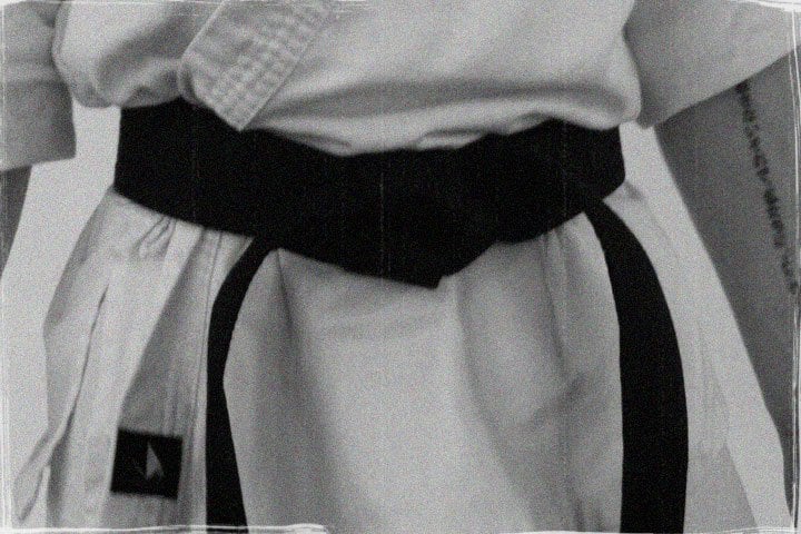 The American Karate Academy Logo