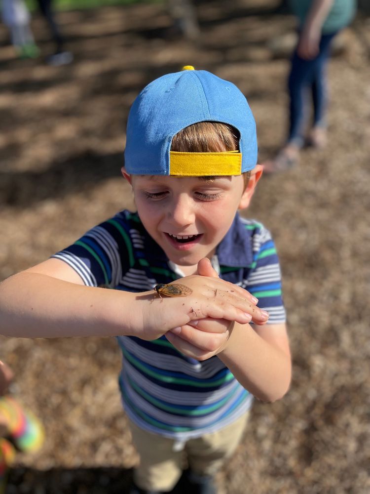 Montessori Weaver School - childcare center in Murfreesboro, TN