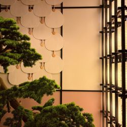 Dozo Sushi & Bar