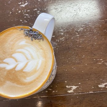 The Modern Rose - Hot Lavender Latte - Coffee & Tea Near Me - Hollywood, Florida The Modern Rose - Hot Lavender Latte - Coffee & Tea Near Me - Hollywood, Florida
