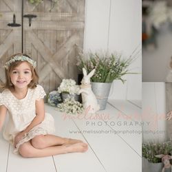Melissa Hartigan Photography - 2018 Spring minis have been announced!