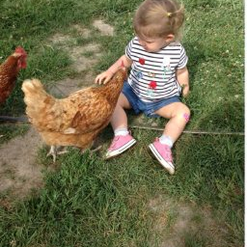 Green Garden Child Development Center - Our chickens add opportunities for learning about empathy, life cycles, and where our food comes from. - Child Care & Day Care Near Me - Hazel Park, Michigan