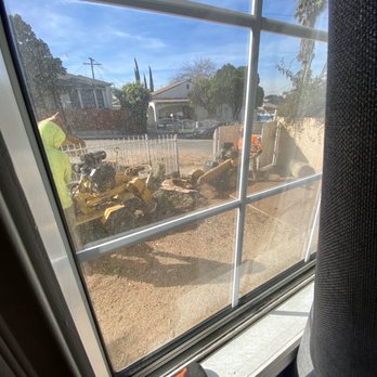 Celis Tree Service - Stump removal - Tree Services Near Me