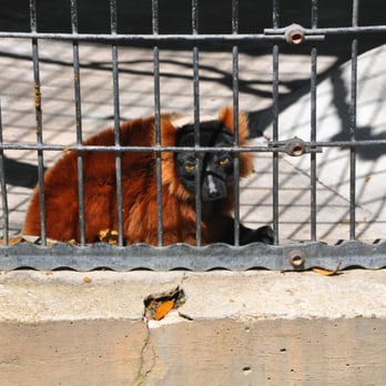 Baton Rouge Zoo - Zoos Near Me - Baton Rouge, Louisiana