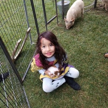 Itty Bitty Mobile Petting Zoo - My daughters favorite animal - Petting Zoos Near Me