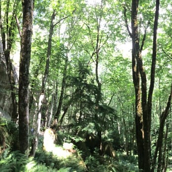 Larrabee State Park - Parks Near Me - Bellingham, Washington Larrabee State Park - Parks Near Me - Bellingham, Washington