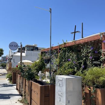 Muri Coffee & Dessert - outside | IG: @socalsnomnoms - Coffee & Tea Near Me - San Diego, California Muri Coffee & Dessert - outside | IG: @socalsnomnoms - Coffee & Tea Near Me - San Diego, California
