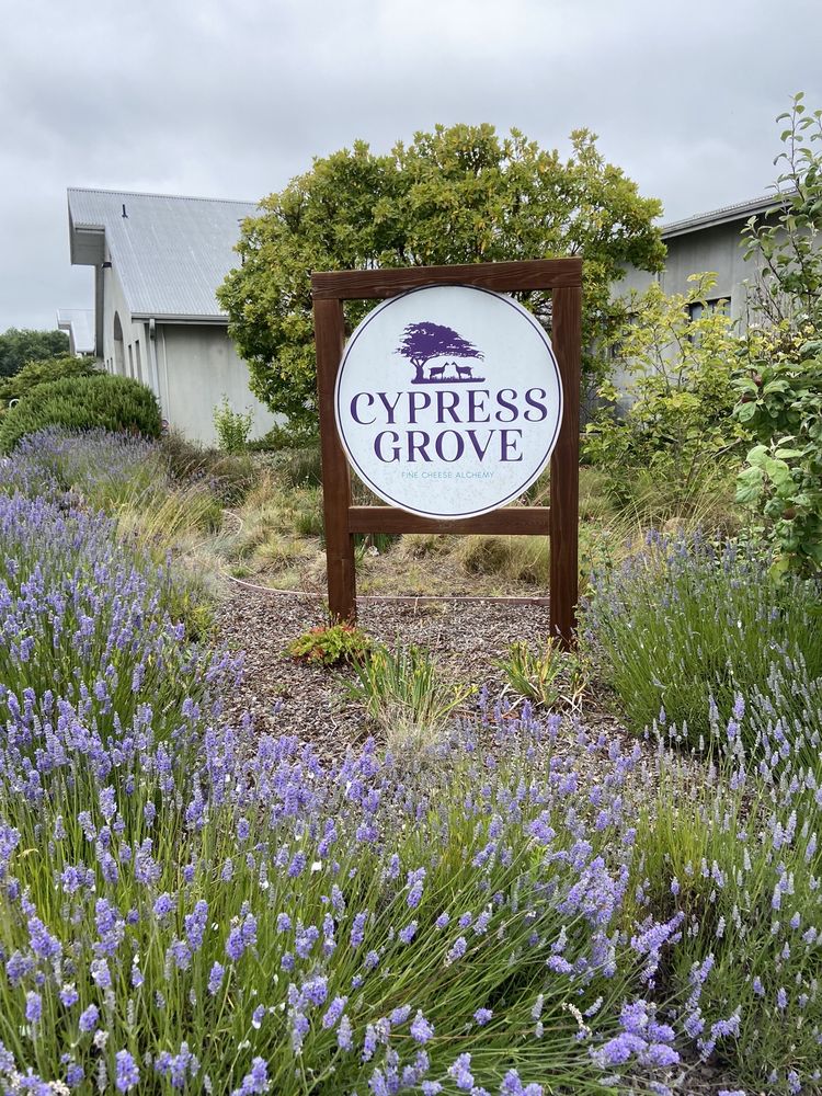 Cypress Grove Logo
