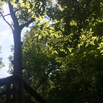 Platte River State Park - View of the trees - Parks Near Me - Louisville, Nebraska
