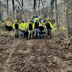 J's Tree Trimming & Removal - Opened this path at the  U of M Nichols Arboretum, making it safe once again.
