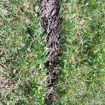 Little Stinker Septic Service - FECES!!!! - Septic Services Near Me - Rathdrum, Idaho Little Stinker Septic Service - FECES!!!! - Septic Services Near Me - Rathdrum, Idaho