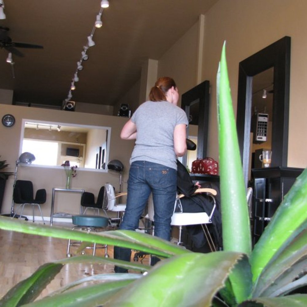 Salon Divine - Hair Salons Near Me - Seattle, Washington