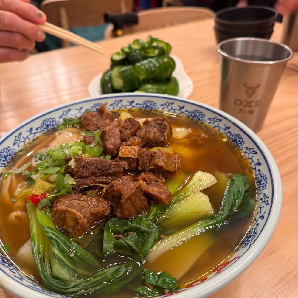 Ox 9 Lanzhou Handpulled Noodles - Braised Beef and Chinese pickles knife cut noodle soup - Noodles Near Me - San Mateo, California