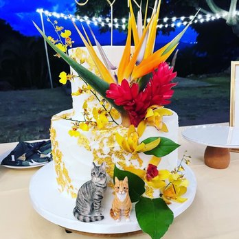 A Cake Life - Bakeries Near Me - Honolulu, Hawaii A Cake Life - Bakeries Near Me - Honolulu, Hawaii