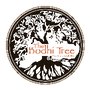 Photo of The Bodhi Tree