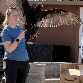 Vino Di Sedona - Turkey vulture - Wine Bars Near Me - Sedona, Arizona