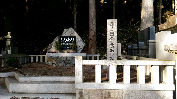 Okunoin Cemetery by null