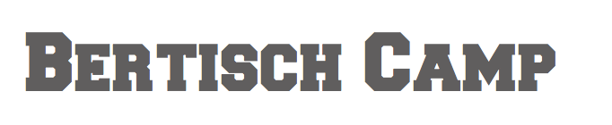Bertisch Camp Logo