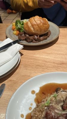 The Birds & Bees by null