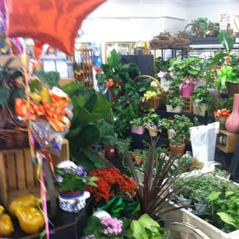 Bashas' - Flower shop - Grocery Near Me - Taylor, Arizona Bashas' - Flower shop - Grocery Near Me - Taylor, Arizona