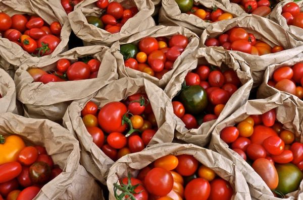 Notting Hill Farmers' Market by null