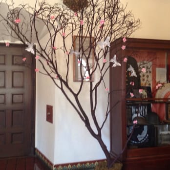 Albany Veterans' Memorial Building - Quinceanera wish tree - Landmarks & Historical Buildings Near Me - Albany, California