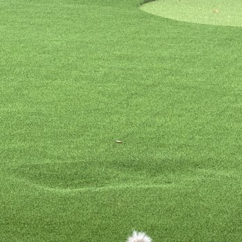 Life Turf Landscaping - Sunken area - Artificial Turf Near Me - Petaluma, California Life Turf Landscaping - Sunken area - Artificial Turf Near Me - Petaluma, California